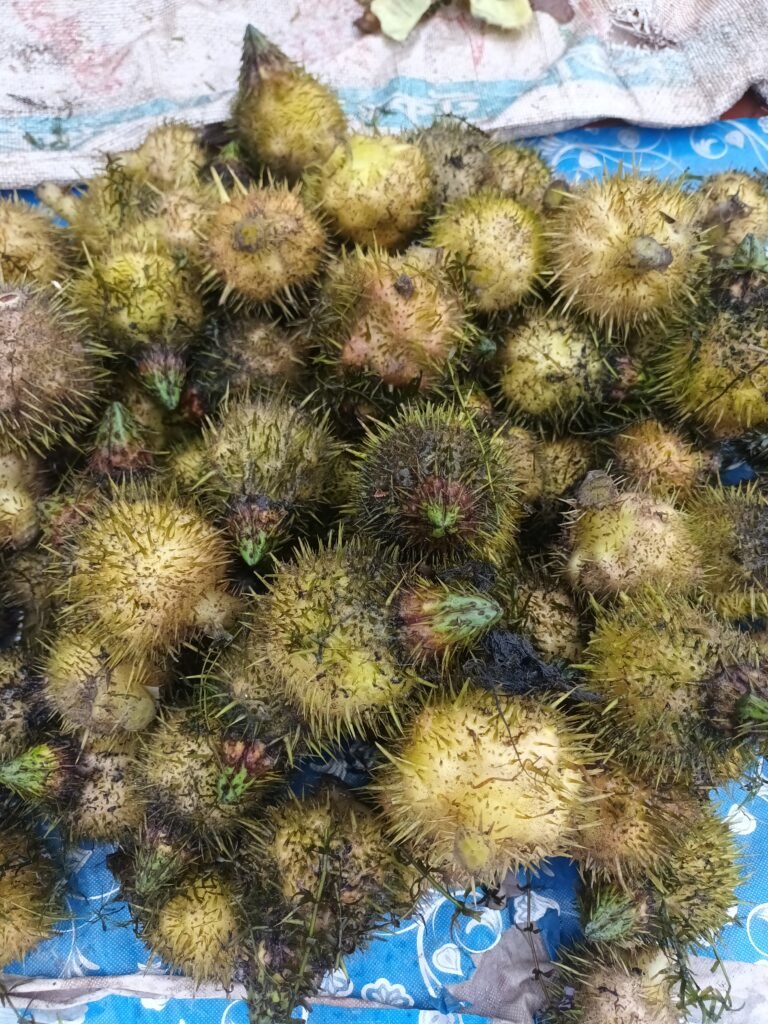 ফুকল ফল ফুকল ফল