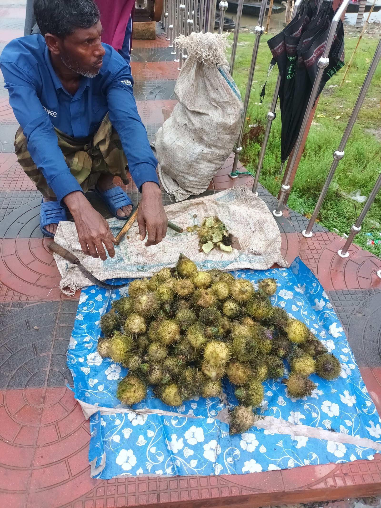 ফুকল ফল