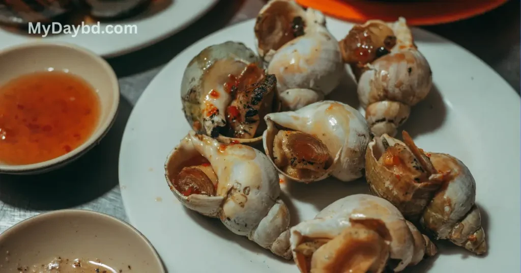 শামুক খাওয়া কি হালাল? কোরআন, হাদিস ও ৪ মাযহাবের বিস্তারিত বিধান সামুদ্রিক শামুক খাওয়া কি হালাল ?